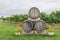 Wine barrels in a grape field