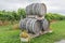 Wine barrels in a grape field