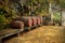 Wine barrels. Madeira