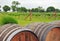 Wine Barrels at the rural Vineyard