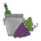 wine bottle in bucket and grapes