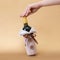 Wine bottle decoration. Clothing coat with faux fur and buttons for wine bottle and woman Caucasian hand on gold  background.