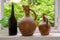 Wine bottle and jugs