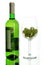 Wine bottle and wineglass with grape