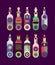 Wine Bottles Collection graphic illustration
