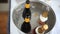 Wine Bottles on Ice Pan