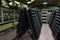 Wine cellar. The bottles on wooden shelves. Vintage storage of wine collection