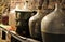 Wine cellar and glass carboys