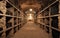 Wine cellar interior with many bottles