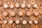 Wine and champagne corks on natural untreated cork bark