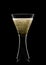 Wine and champagne crystal mouth-blown glass on black background