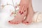 Wine-Colored Pedicure: Elegant Female Feet in Beauty Studio