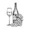 Wine: composition with bottle, wineglass and bunch of grapes, hand drawn vector illustration.