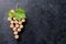 Wine corks grape shape and vine