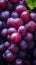 Wine Country Elegance: Top-Down View of Fresh Purple Grapes