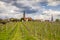 Wine country landscape in Edenkoben district of Southern Wine Route Germany