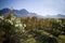 Wine farm landscape with mountains and vineyards