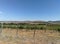 Wine farm vineyard