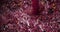 wine fermentation, the process of making wine from grapes