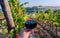 Wine glass of in hand of drinker, between grapevine lines of wineyard. Green vineyard landscape with farms on hills