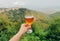 Wine glass in hand over green forest landscape. Natural winemaking and ecological leisure