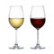 wine glass isolated pictures