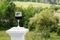 Wine glass with red wine and vinyard in the backgroune