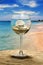 Wine glass, seashell and pearl