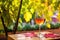 wine glass on table with vibrant vine leaves in background