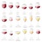 Wine glass vector winery alcohol drink and red beverage wineglass in bar restaurant illustration set of glassware