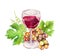 Wine glass with vine leaves, grape berries. Watercolor