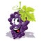Wine grape cartoon