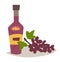 Wine and grape vector illustration. Bottle with alcohol