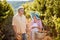 Wine and grapes. Harvesting grapes. Smiling senior man and woman gather harvest grapes