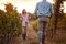 Wine grapes in a vineyard. Young woman with wine on vineyard