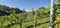 Wine growing area and natural landscapes with colorful vines in autumn around Stuttgart in Baden Wuerttemberg