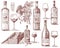 Wine harvest products, press, grapes, vineyards corkscrews glasses bottles in vintage style, engraved hand drawn