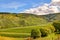 Wine landscape near Cochem and Leiwen on the Moselle