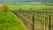 Wine landscape with vineyards in Moravia, Czech Republic