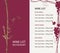 Wine list with a branch of grapes and price list