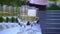 Wine is poured into glasses from bottle. catering or buffet in fresh air.