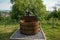 Wine press at Champagne Region in France