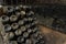 Wine racks with old bottles covered in dust and natural mold