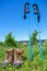 Wine Tourism-Pair of hiking shoes in the grass surrounded vineya