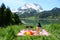 Wine and vegetables served at a picnic in Alpine meadow. Switzer