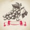 Wine vintage background with grapes
