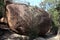 Wineglass Bay Walk, Freycinet National Park, Tasmania