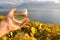 Wineglass in the hand against vineyards in Lavaux region, Switze