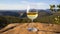 Wineglass of white wine on top of a rock in the mountains. Australian wine concept.