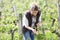 Winegrower checking on plants in vineyard